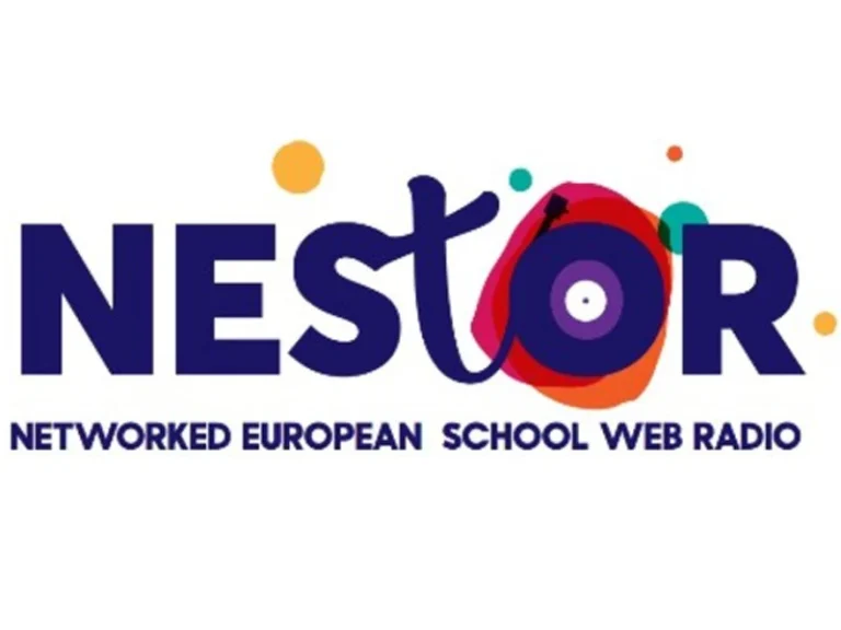 800x600_nestor_1_1x